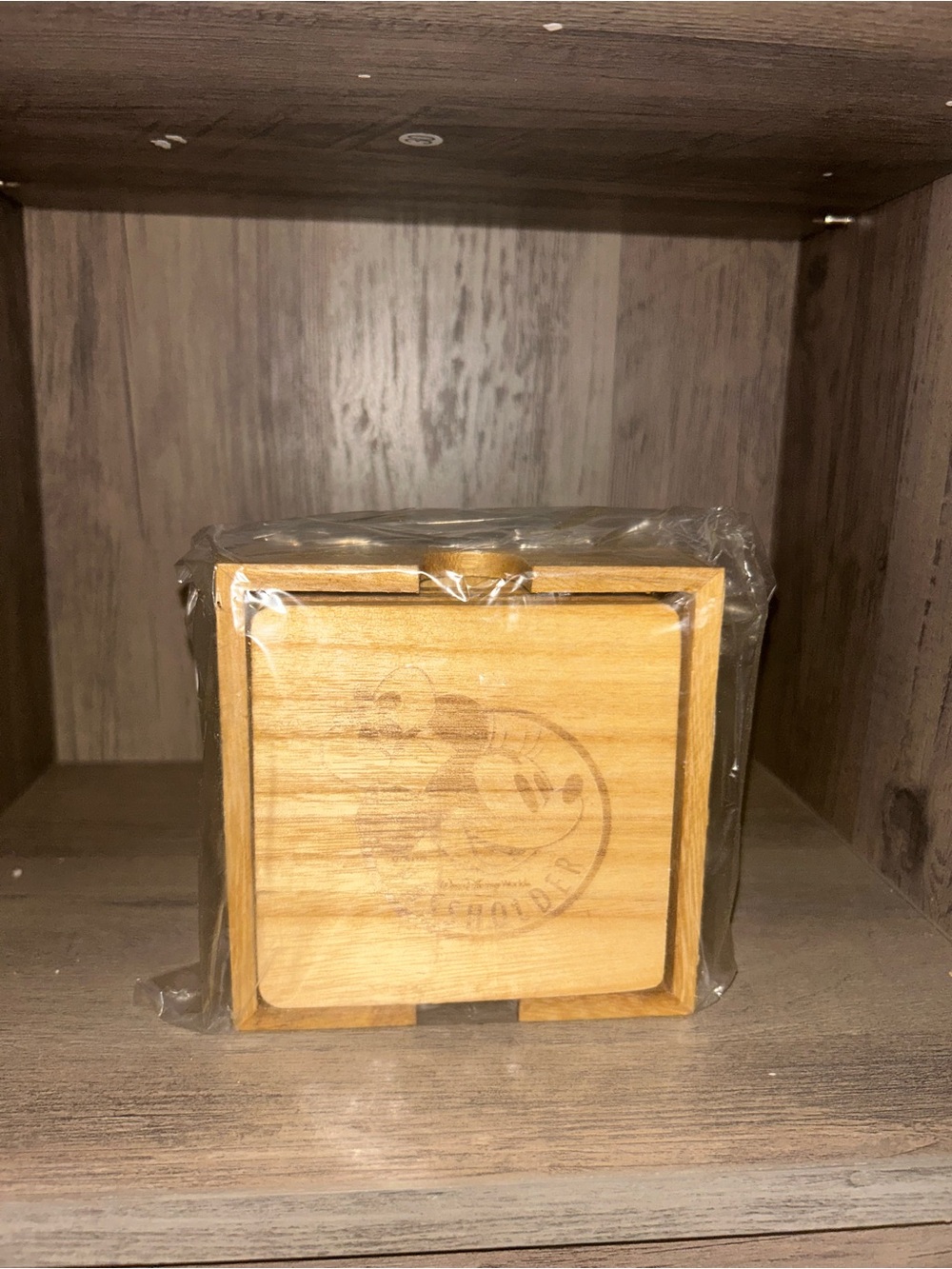 Collectible Disney World Passholder Wooden Coaster Set with Holder